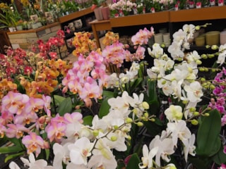 616036053_1281196467152107_3501130387040979834_n