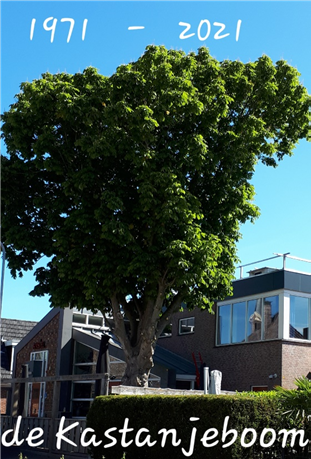 dorpshuis 1971-2021