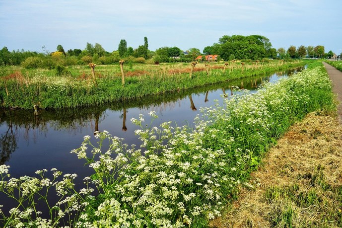 waterway-3395233_1280