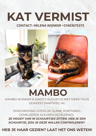 Mambo vermist