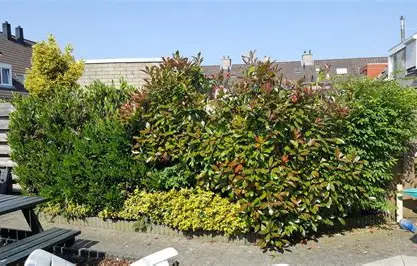 Gemeenteraad stelt nieuw snippergroenbeleid vast