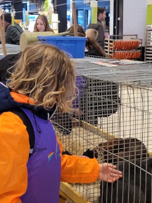 c0a87158-0e55-45b2-869a-cc84d2a9b6ee