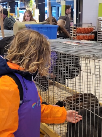 c0a87158-0e55-45b2-869a-cc84d2a9b6ee