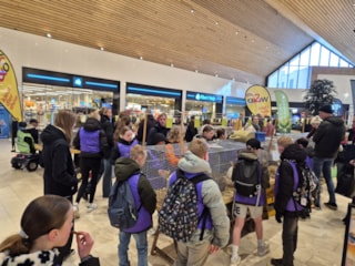 bfff055d-9f10-40ec-a046-dbff0ee200ca