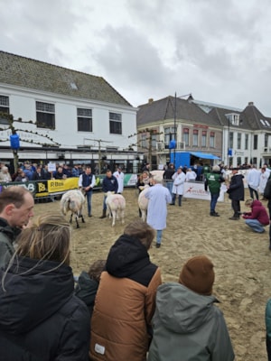 981e77da-636a-4434-8ae4-b9941f80dddc