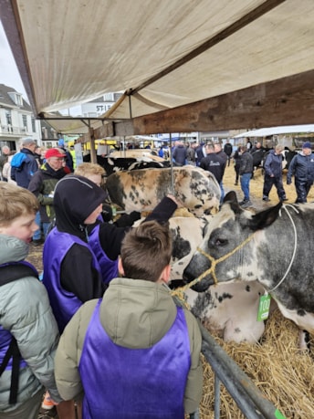 d7bed5bc-5676-4115-99bd-ee27d9e4877d