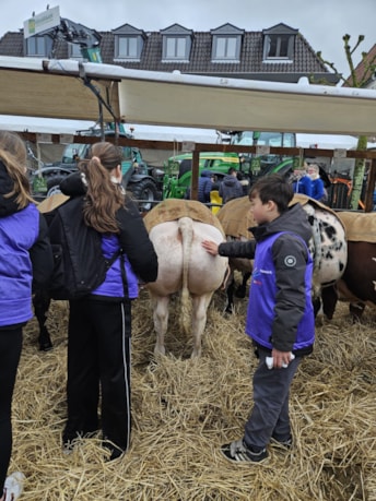 5296cd72-3c33-45d4-b1a7-0f3acff2b38d