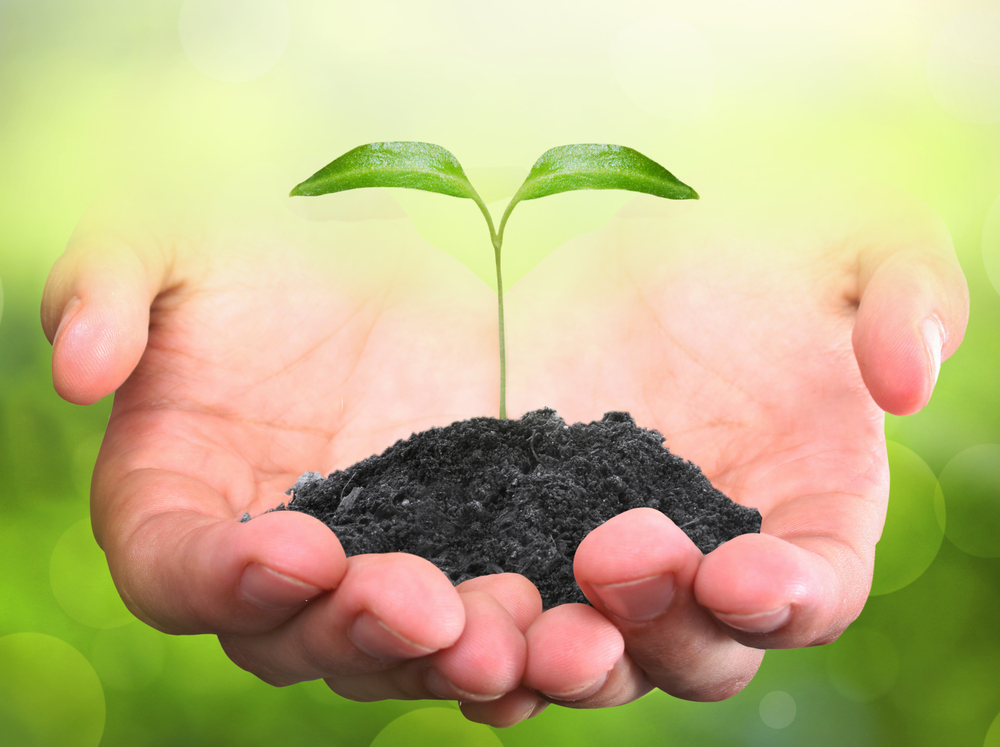 Hulp gevraagd moestuinen